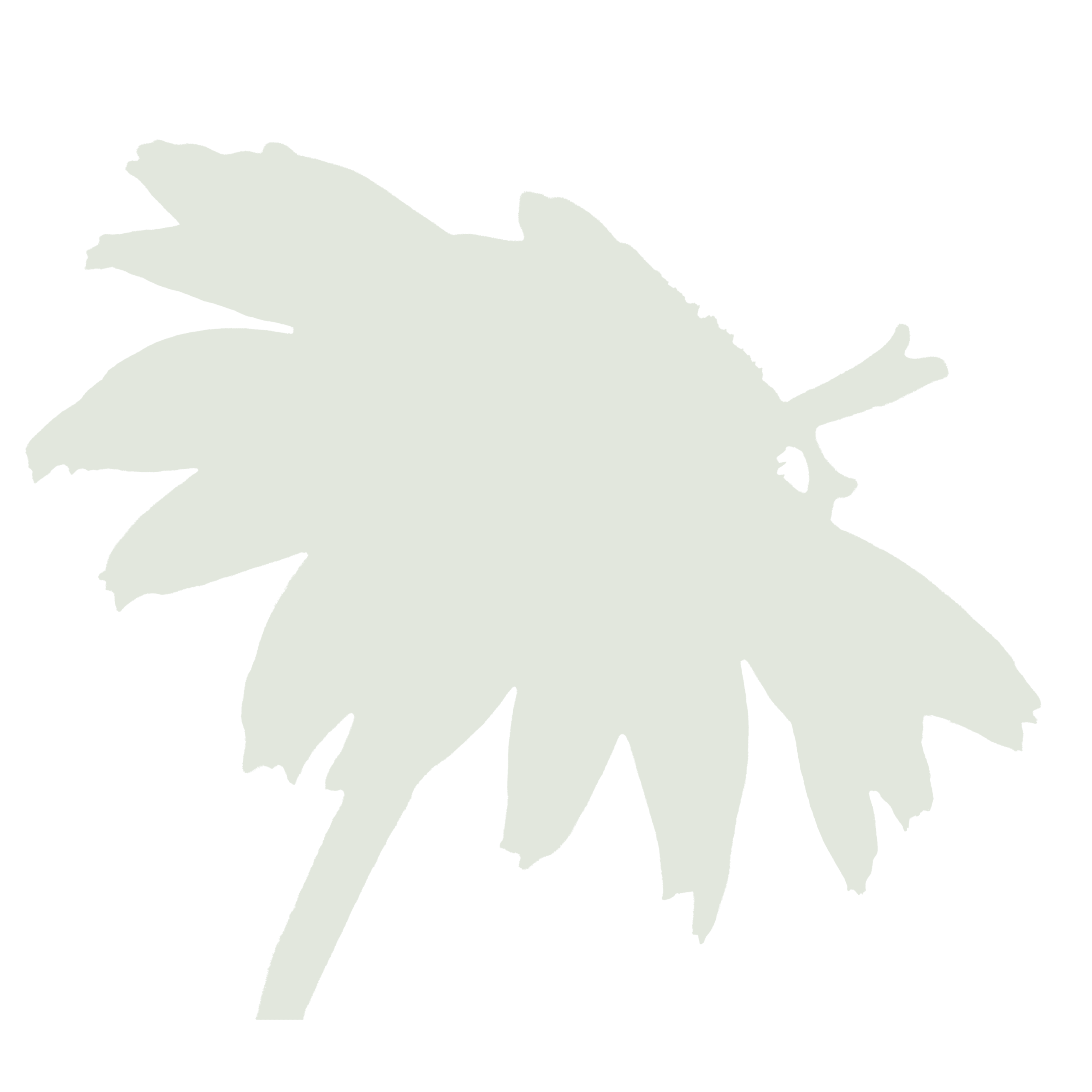 Flower green 5