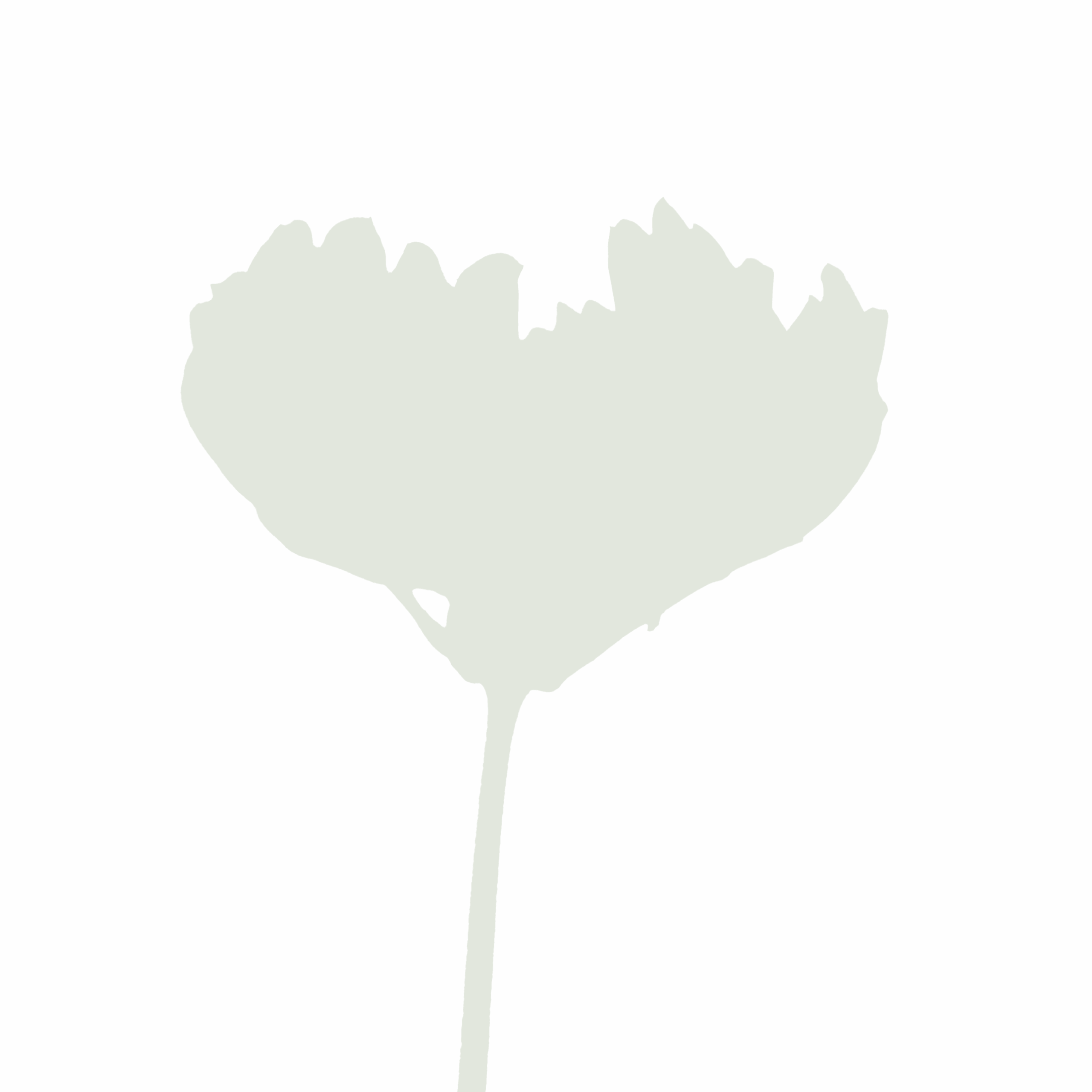 Flower green 2